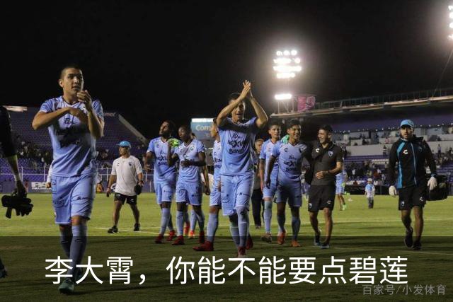 李大霄，你能不能要点碧莲